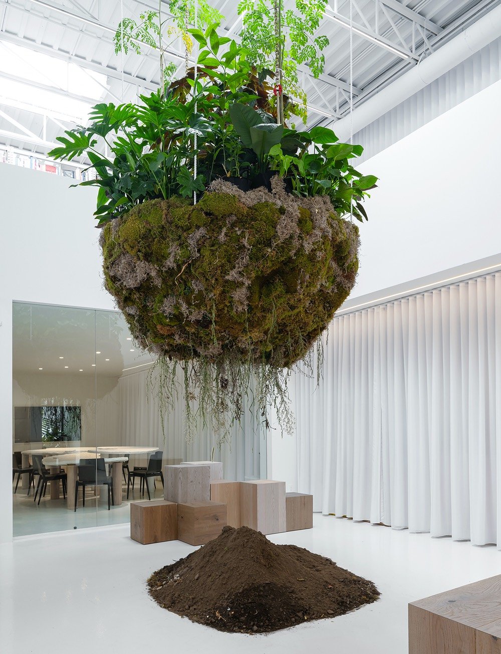 A biophilic design installation in Mason Studio's office featuring a floating island of greenery.