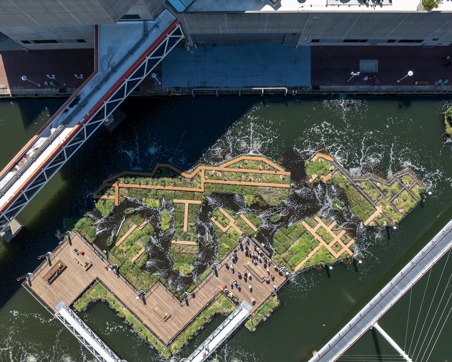 Harbor Wetland at Baltimore National Aquarium