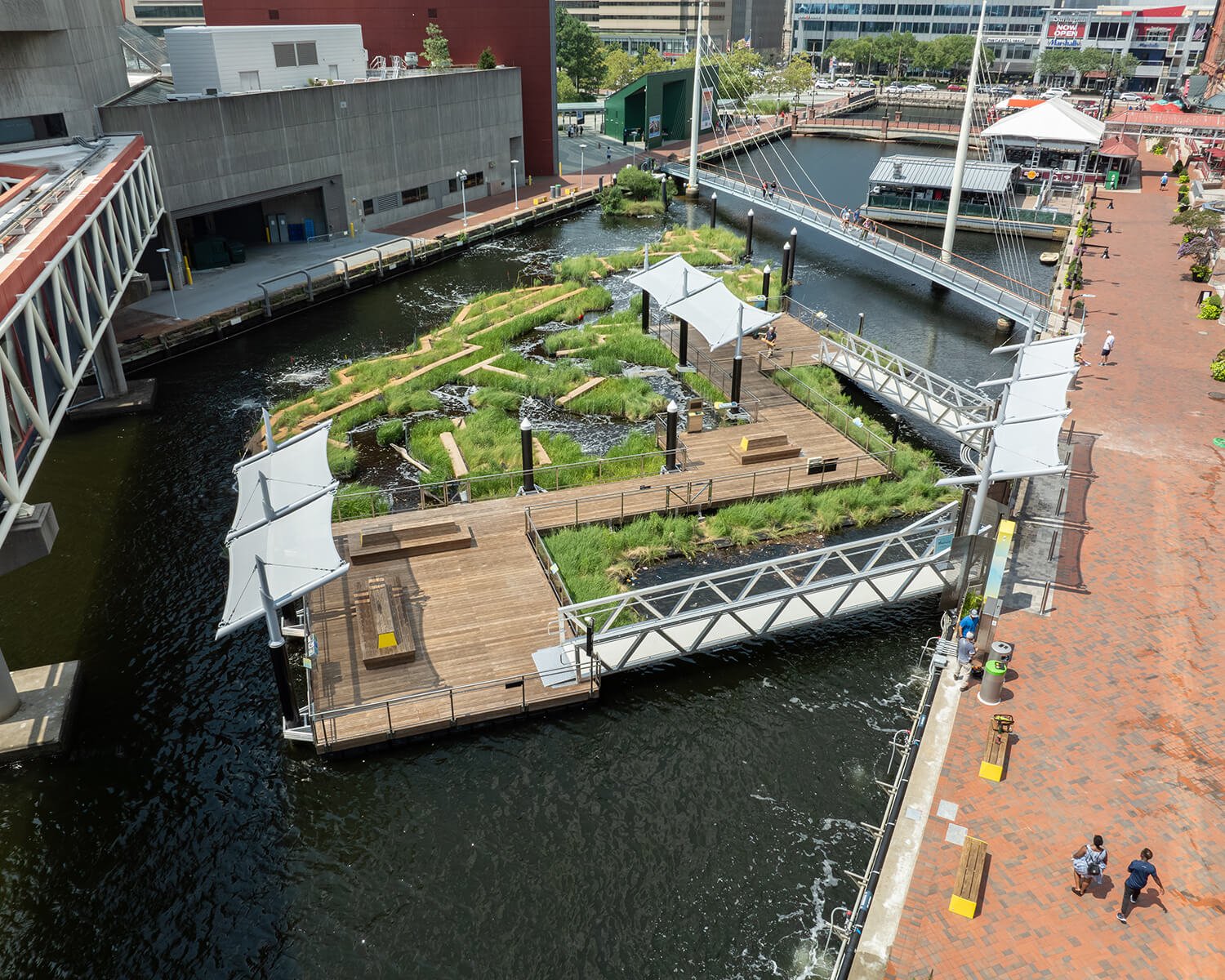 Harbor Wetland at Baltimore National Aquarium