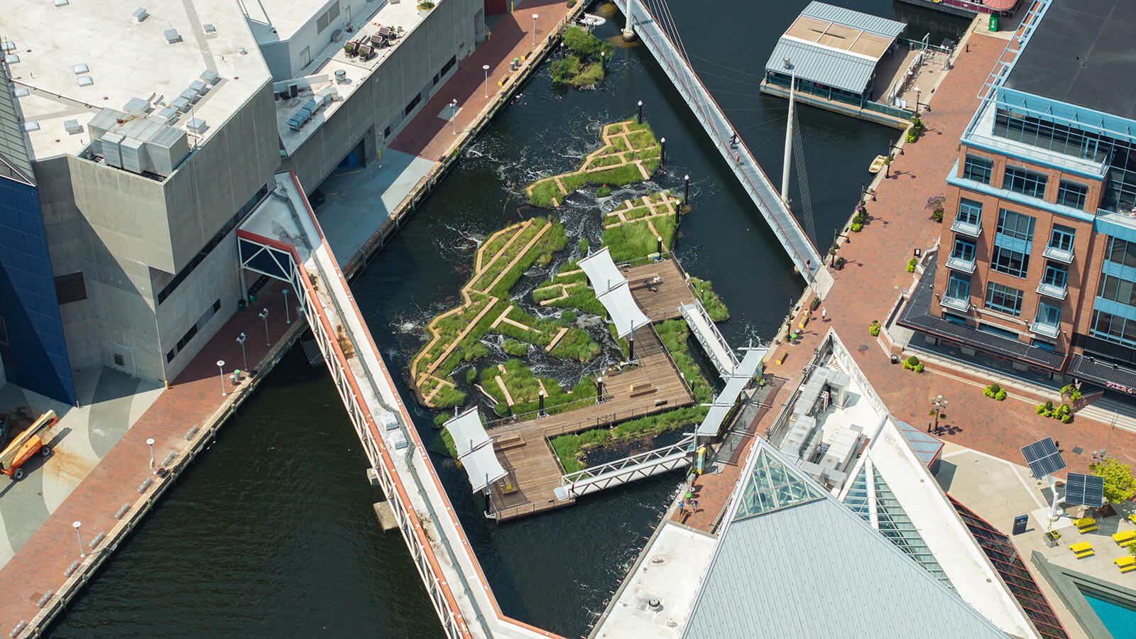 Harbor Wetland at Baltimore National Aquarium