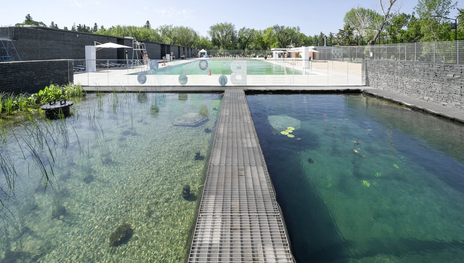 Also in Edmonton, the Borden Park Natural Swimming Pool by Pat Hanson and gh3* is a marvel of both architecture and engineering that features chemical-free water purification.