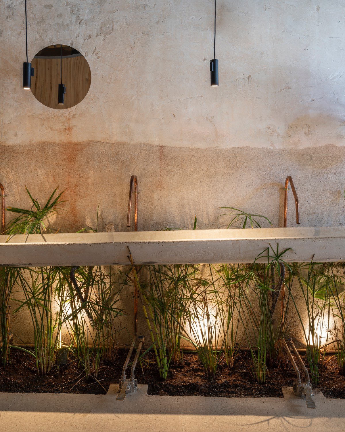 A concrete sink and arched taps are installed above an indoor garden planted with green grasses. Black pendants hang down from above, with a small circular mirror against the wall.