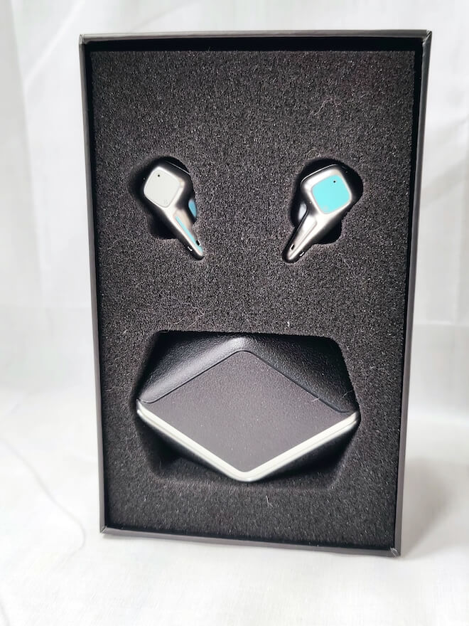 HiFiMAN SVANAR Wireless Earbuds in box