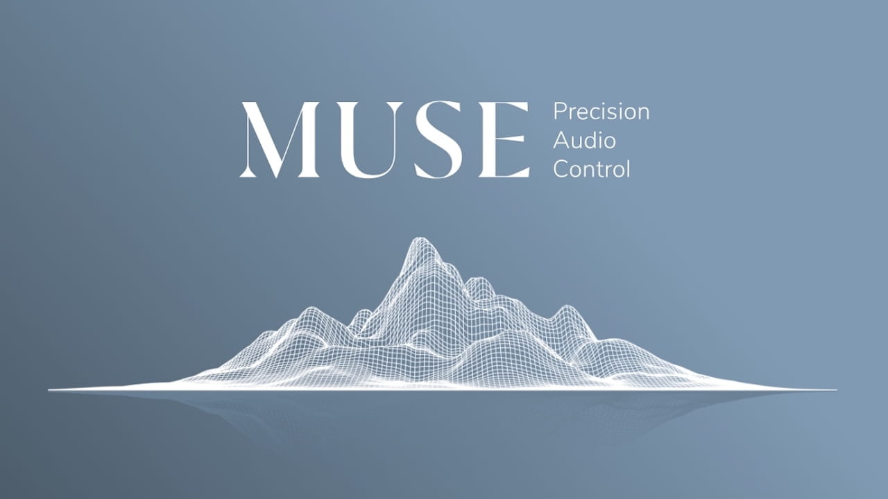 Roon Muse Precision Audio Control